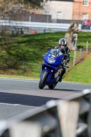 Oulton-Park-20th-March-2020;PJ-Motorsport-Photography-2020;anglesey;brands-hatch;cadwell-park;croft;donington-park;enduro-digital-images;event-digital-images;eventdigitalimages;mallory;no-limits;oulton-park;peter-wileman-photography;racing-digital-images;silverstone;snetterton;trackday-digital-images;trackday-photos;vmcc-banbury-run;welsh-2-day-enduro